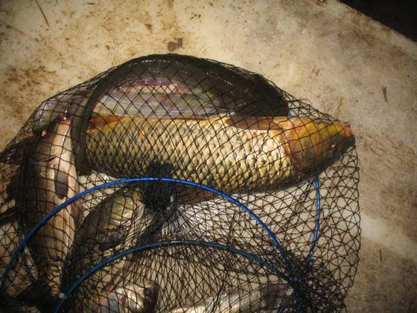 ���� �������� ����, �׾� 015.JPG