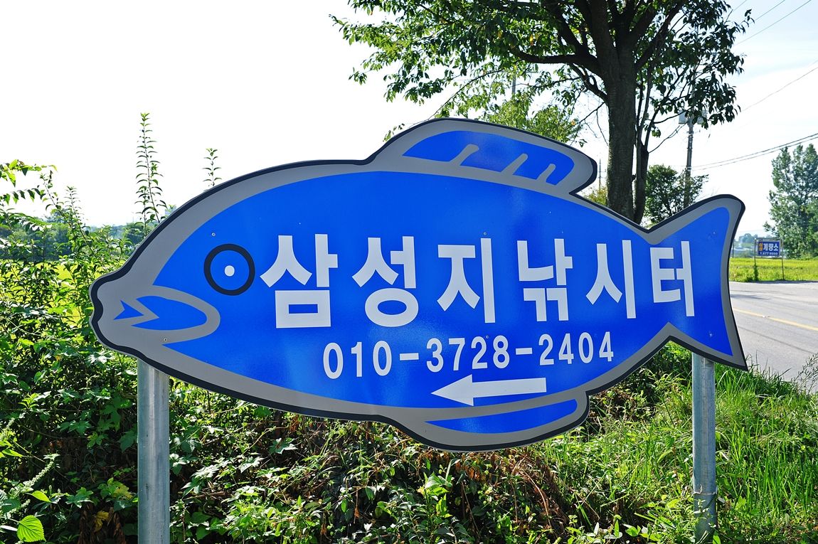 19.JPG