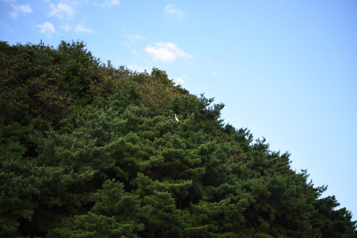 ũ�⺯ȯ_���������ü������� (77).JPG