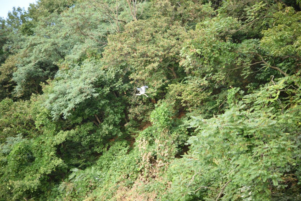 ũ�⺯ȯ_���������ü������� (112).JPG