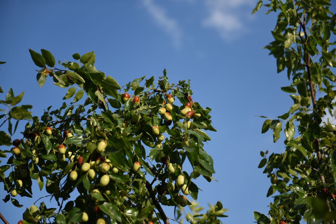 ũ�⺯ȯ_���������ü������� (156).JPG