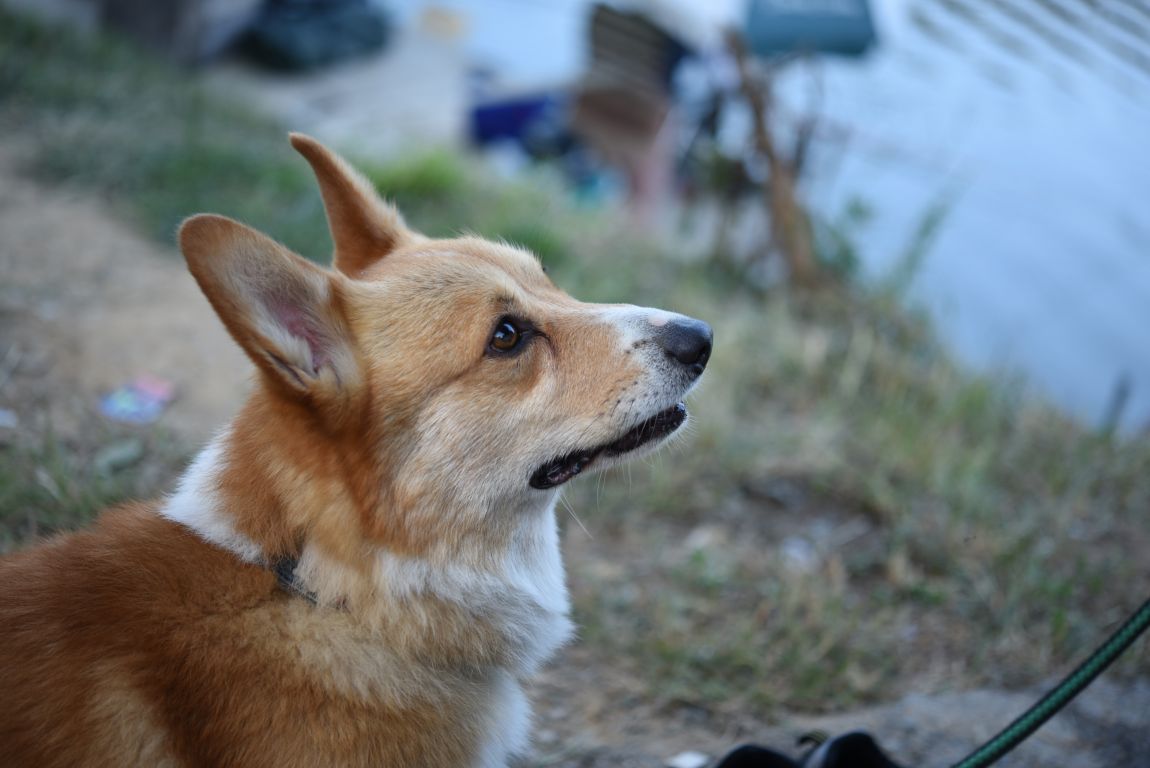 ũ�⺯ȯ_���������ü������� (62).JPG