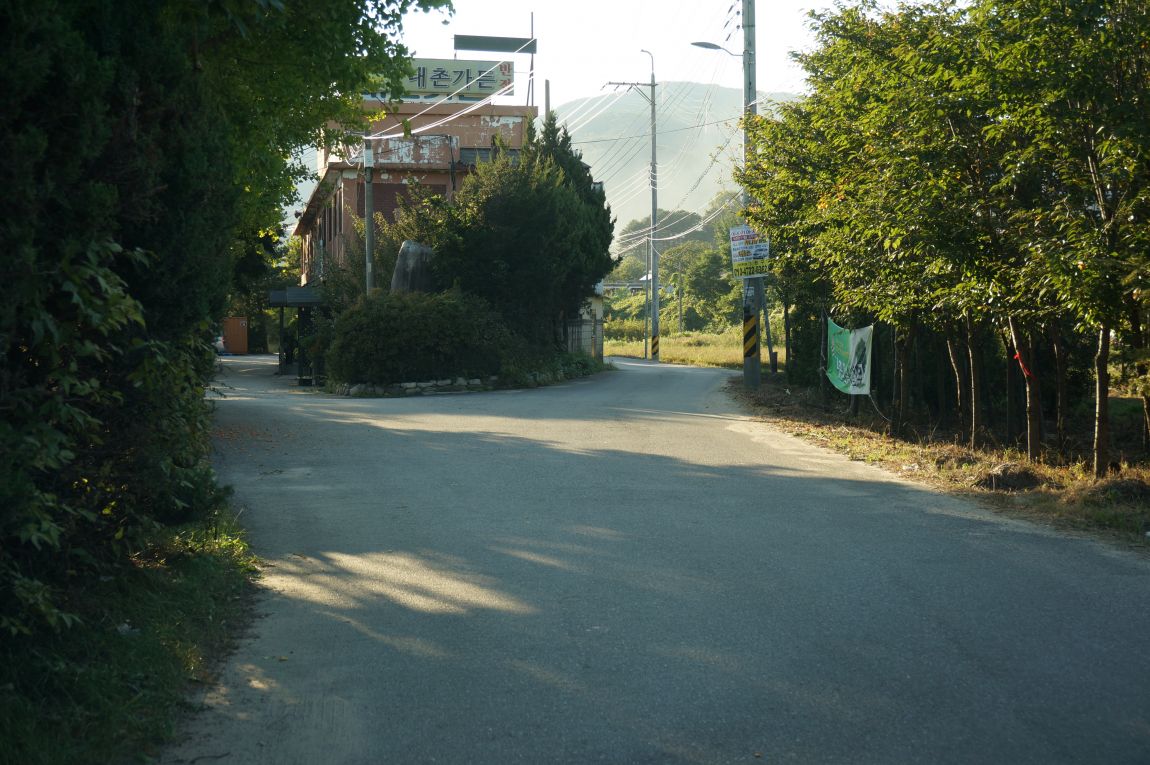 DSC00938.JPG