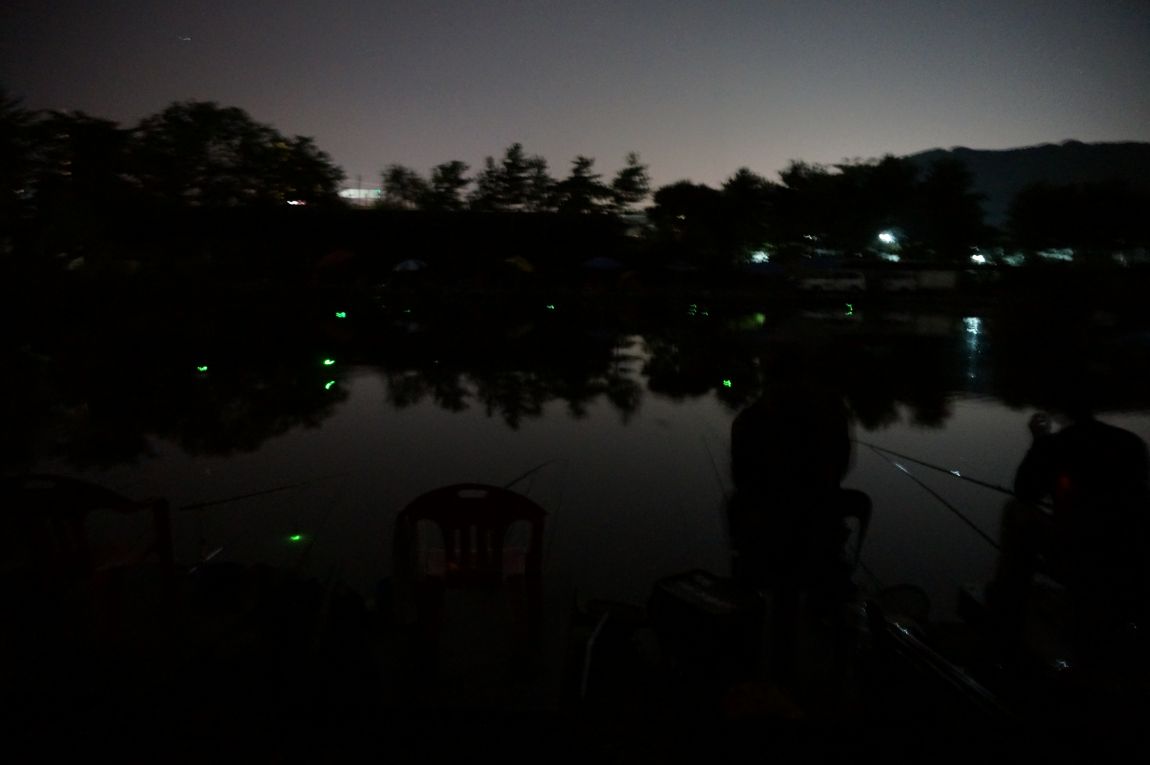 DSC01013.JPG