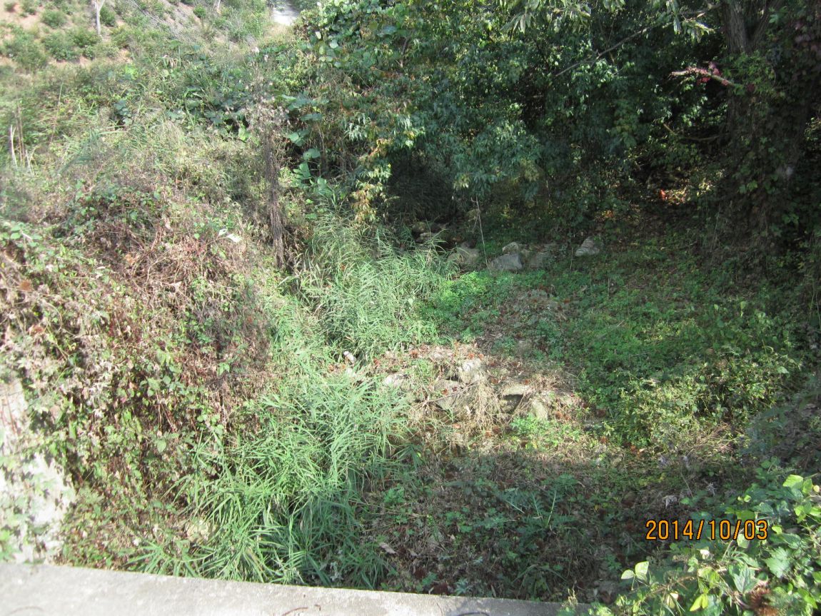 IMG_5563.JPG