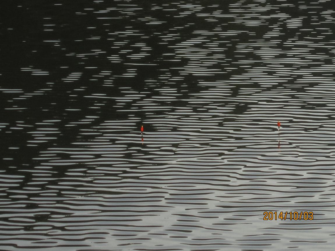 IMG_5591.JPG