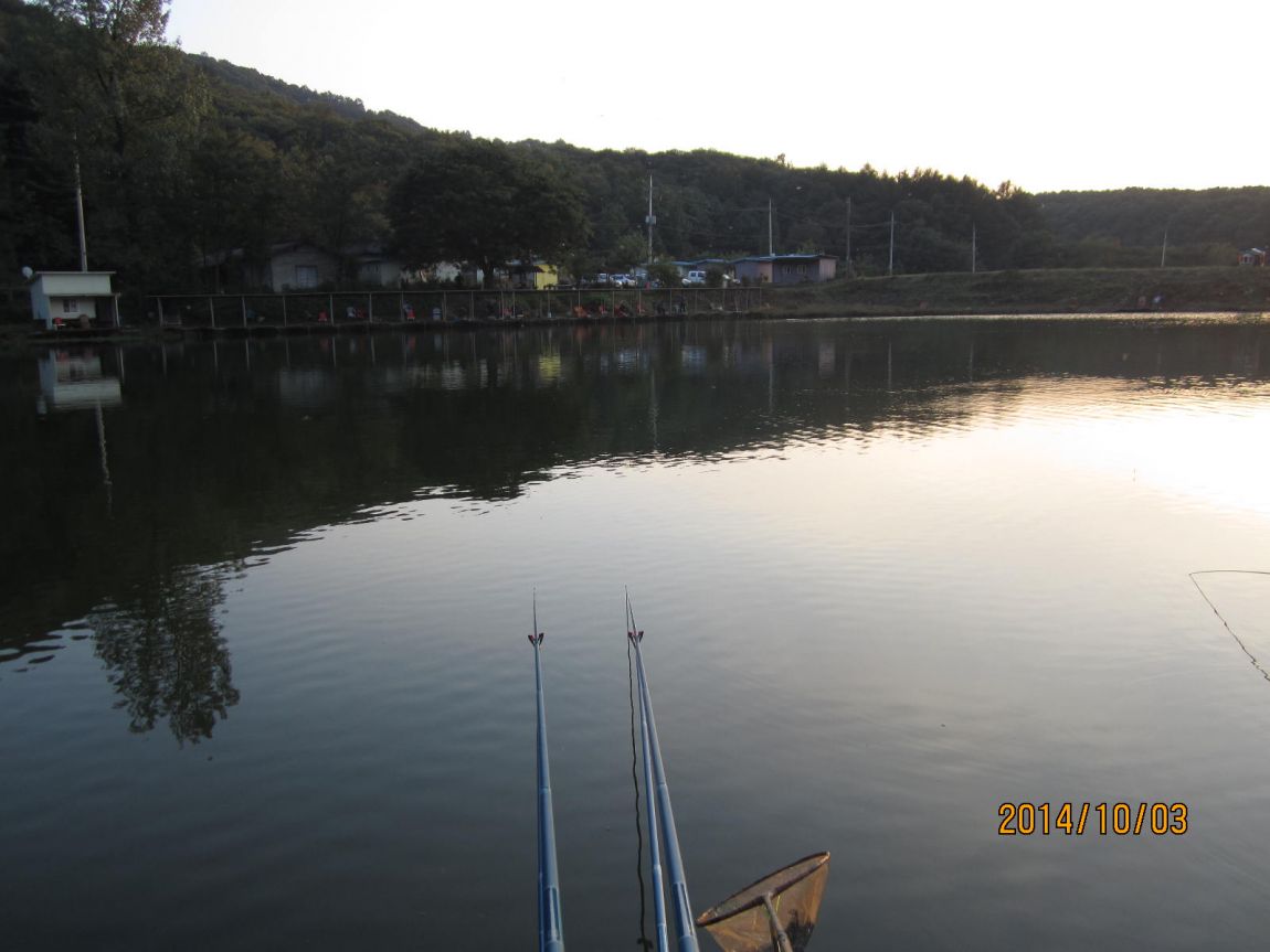 IMG_5598.JPG