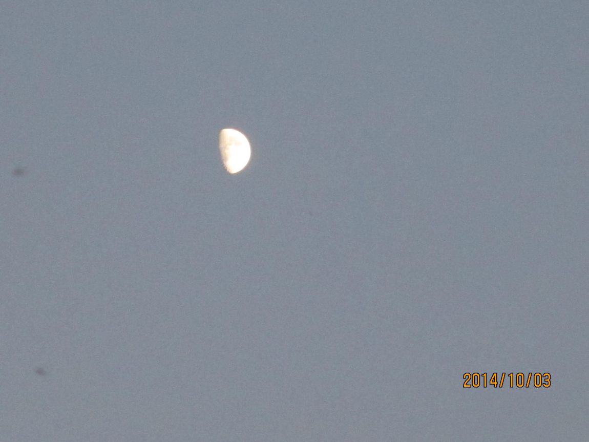 IMG_5602.JPG