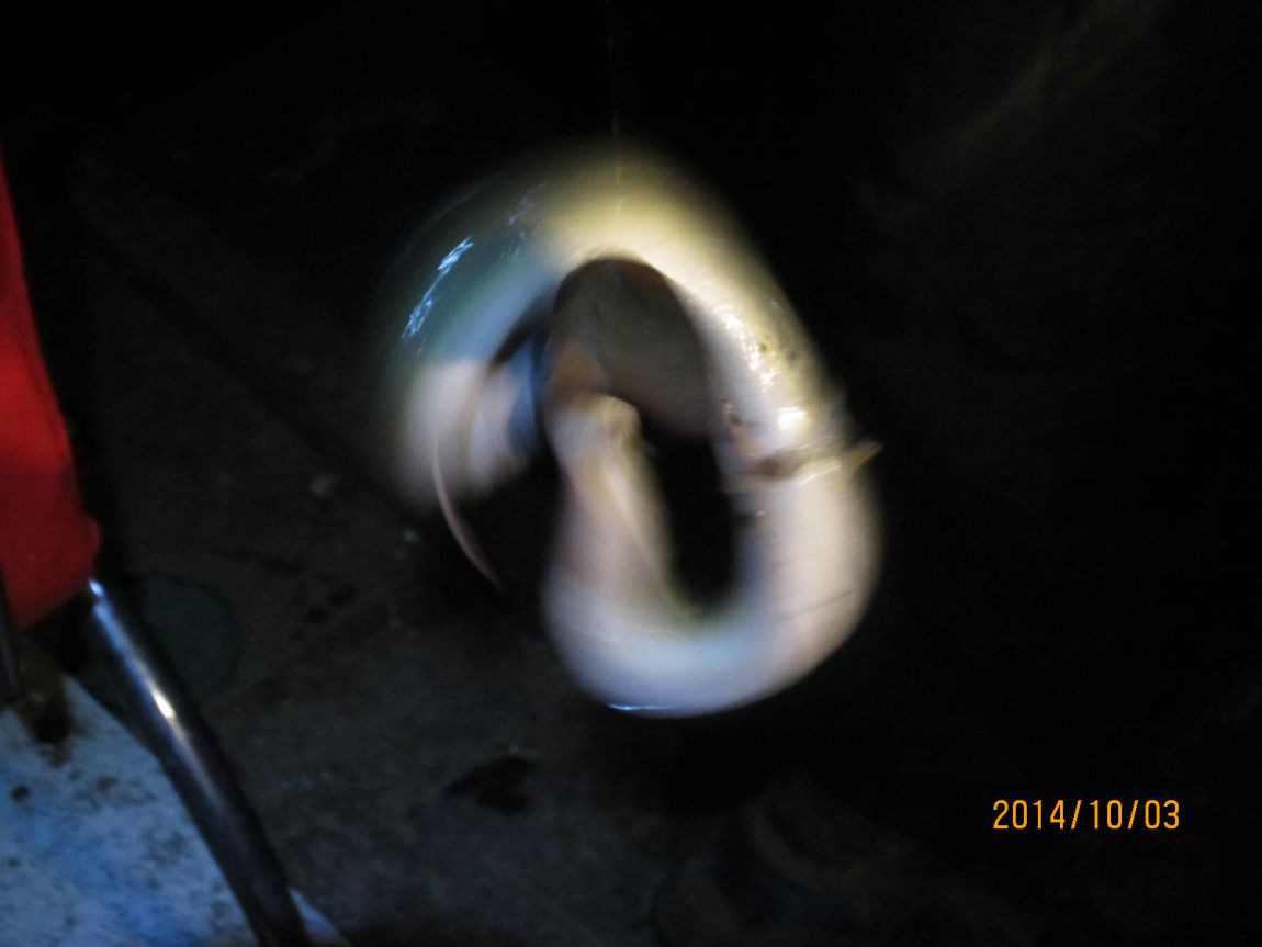 IMG_5633.JPG