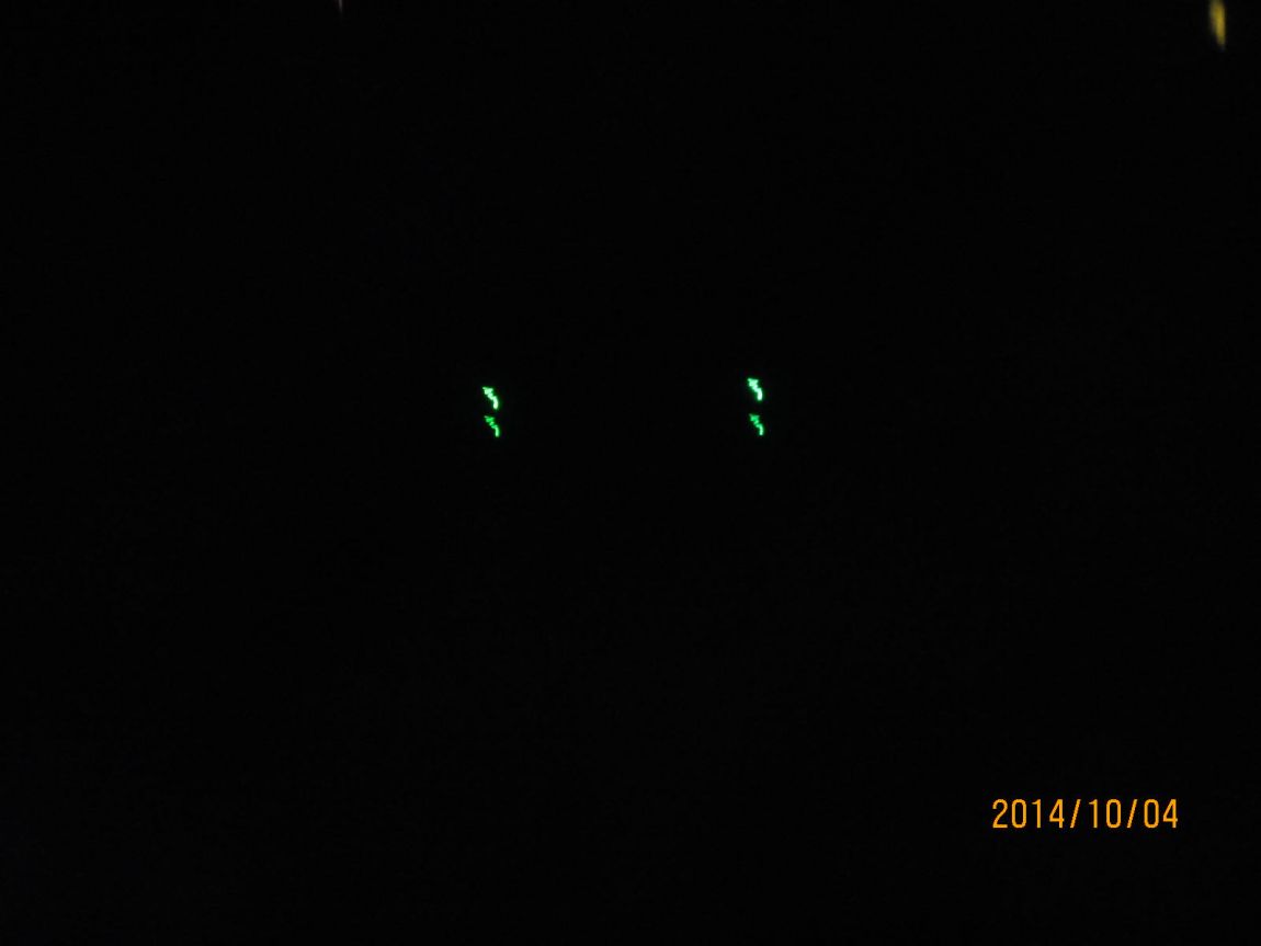 IMG_5647.JPG