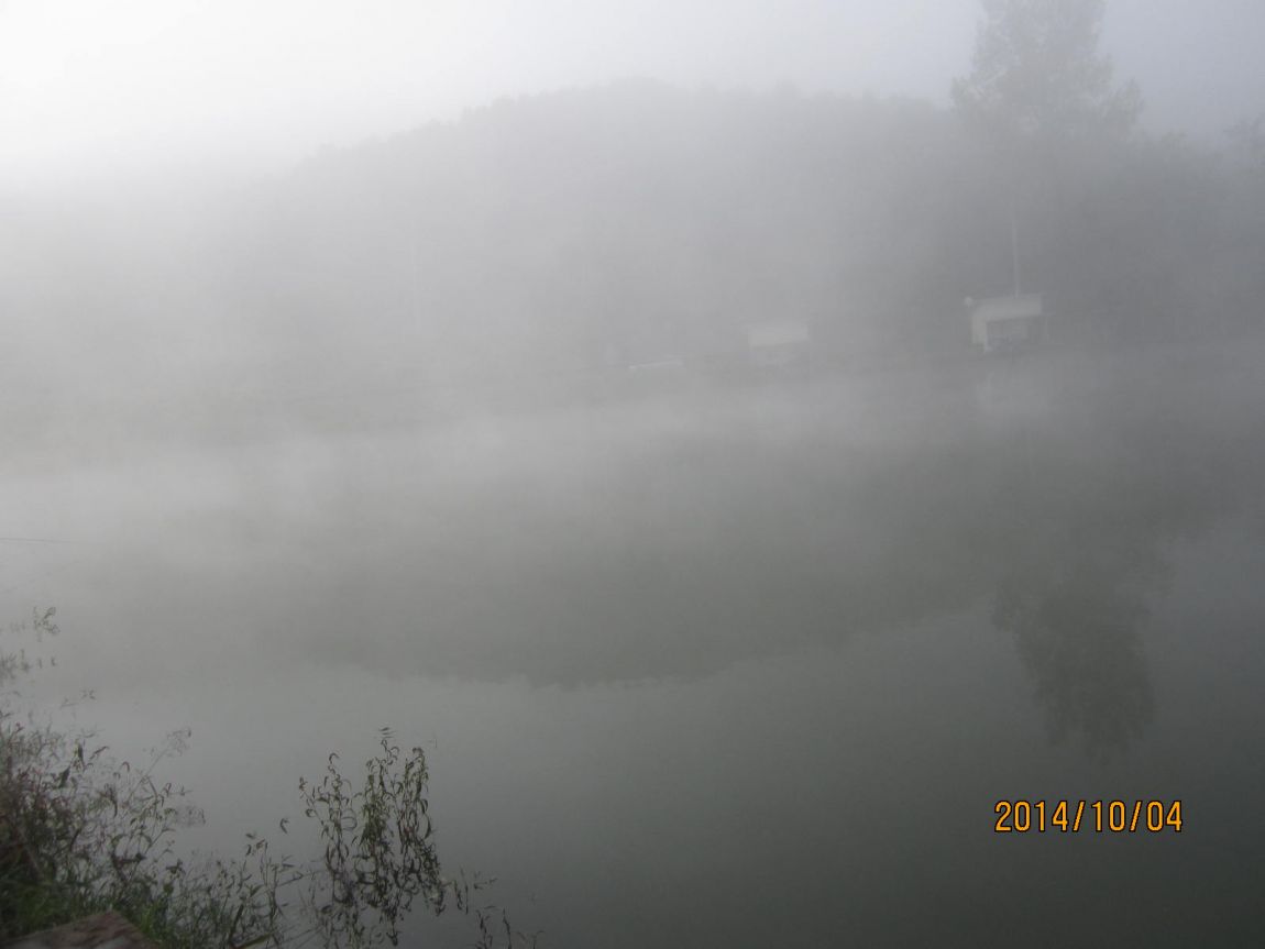IMG_5653.JPG