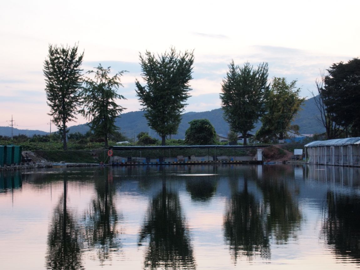 PA222626.JPG