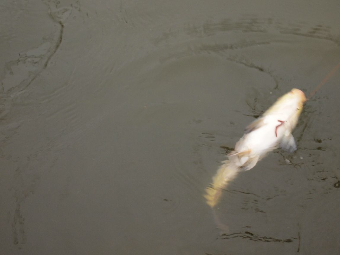PA202588.JPG