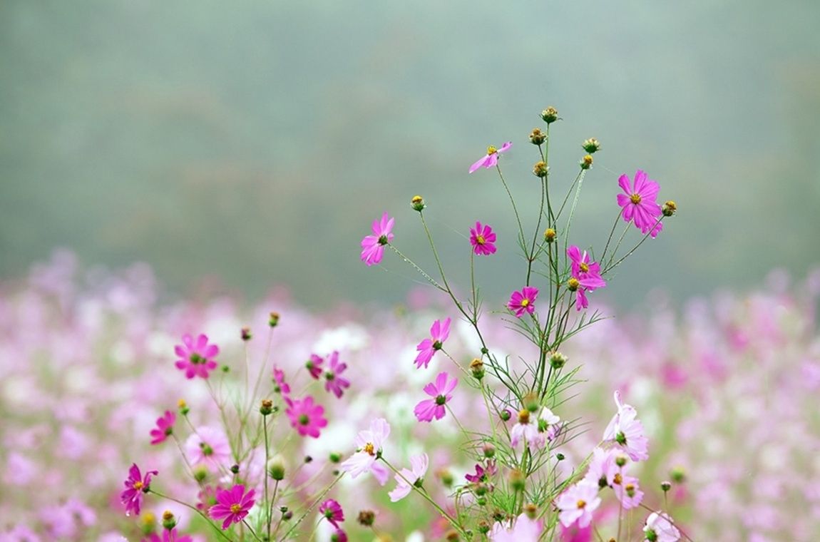 2012-11-23 14;50;16.jpg