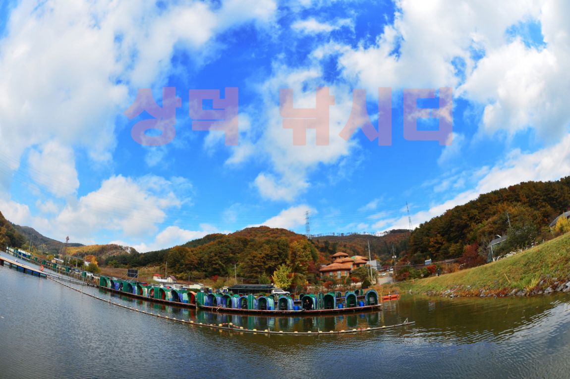 55.jpg