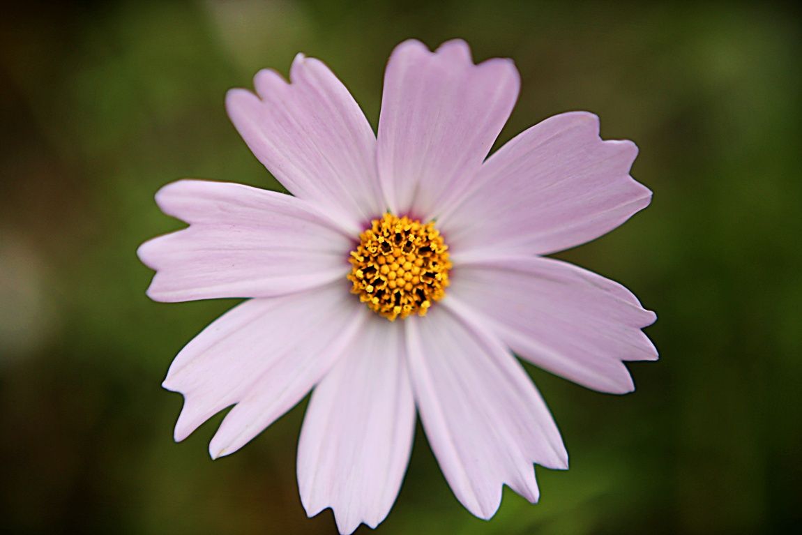 3A6A7744.JPG