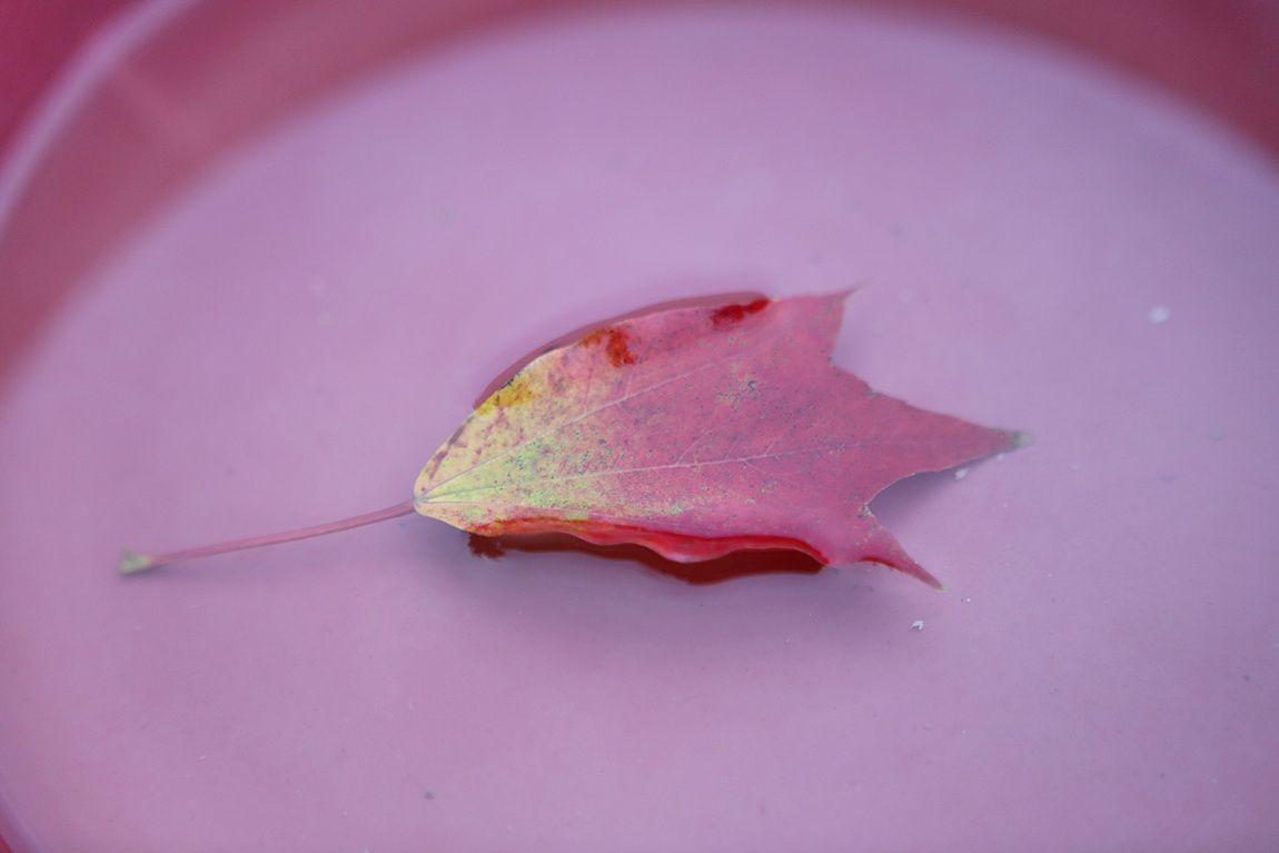 3A6A7952.JPG