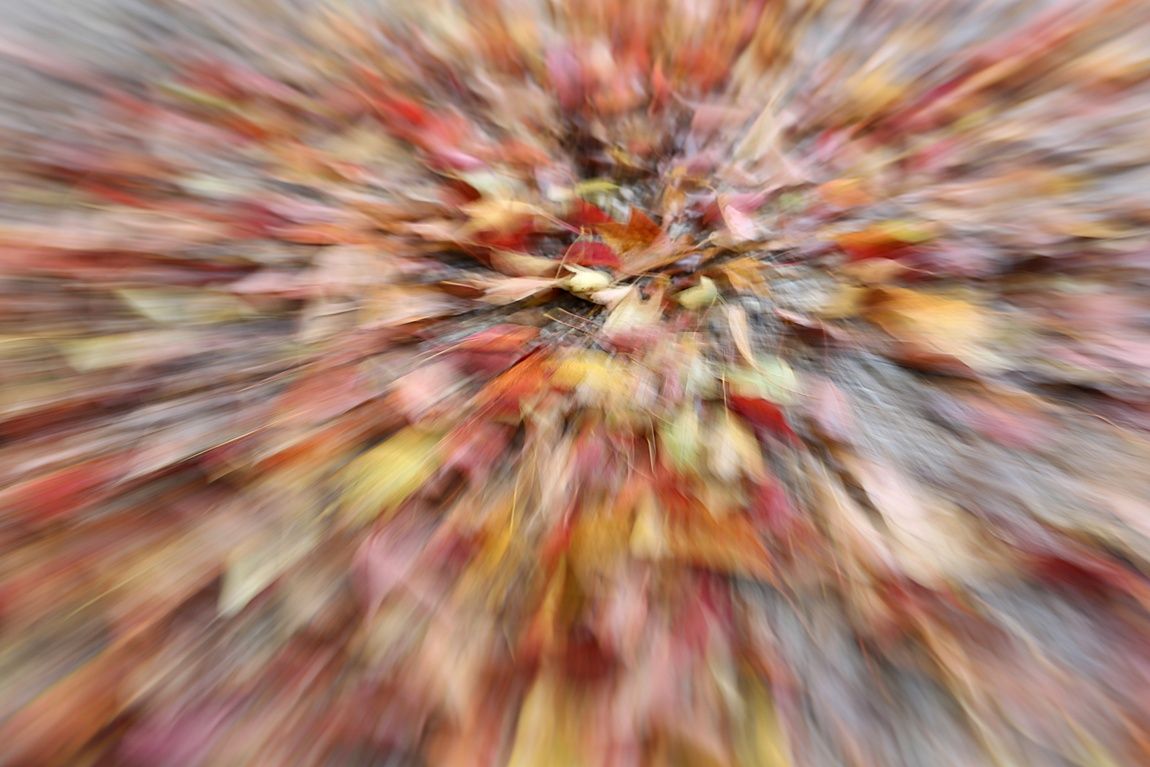 3A6A7978.JPG