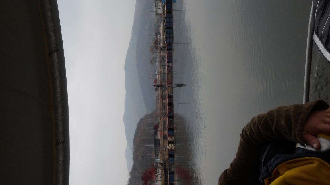 20141108_143231.jpg