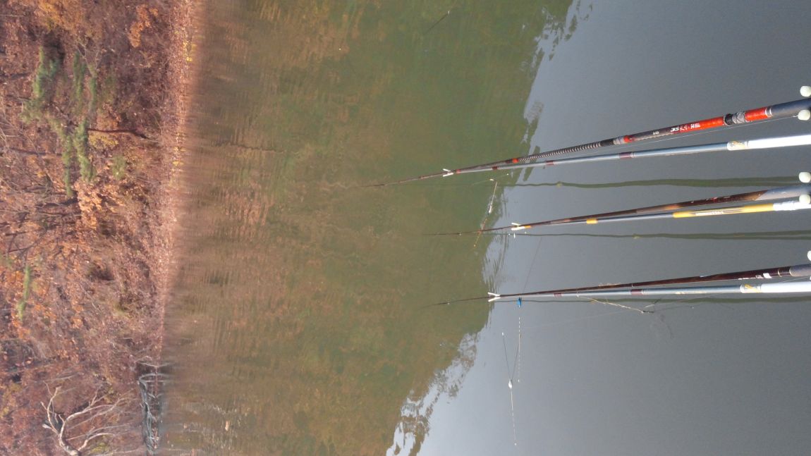 20141109_075439.jpg