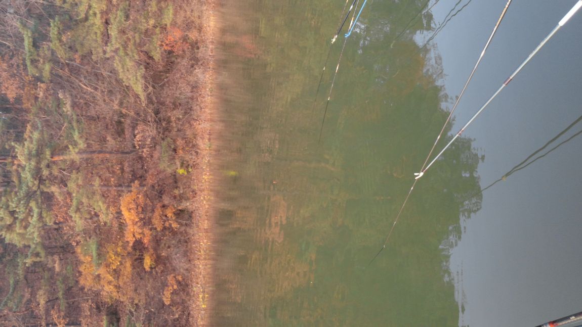 20141109_075444.jpg