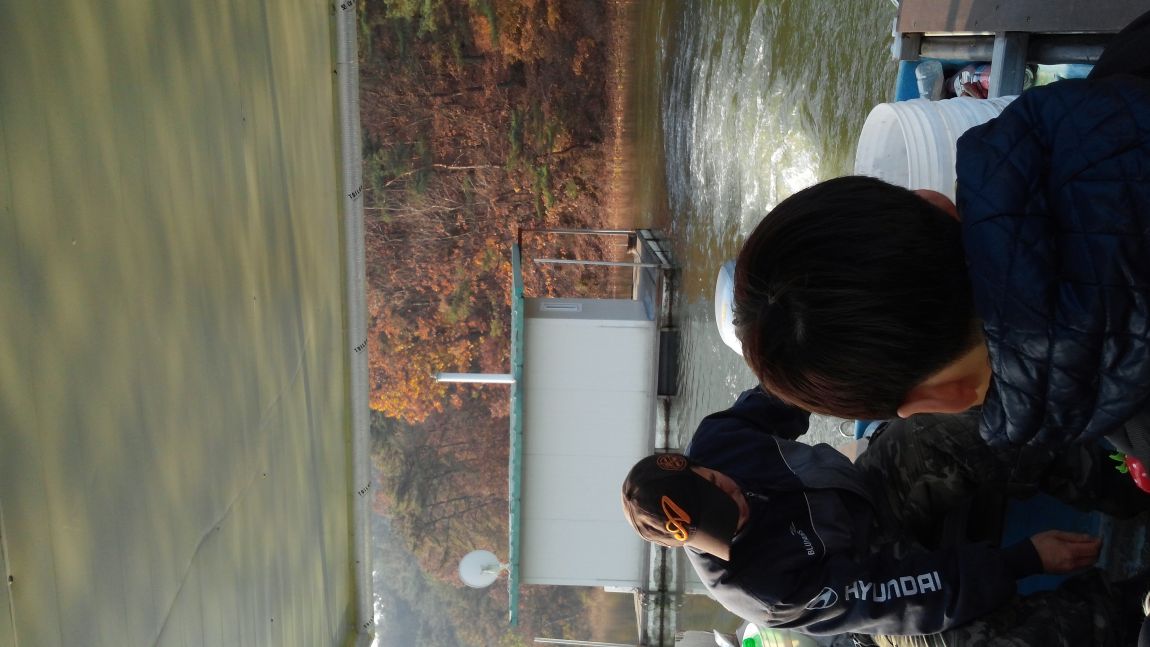 20141109_090714.jpg
