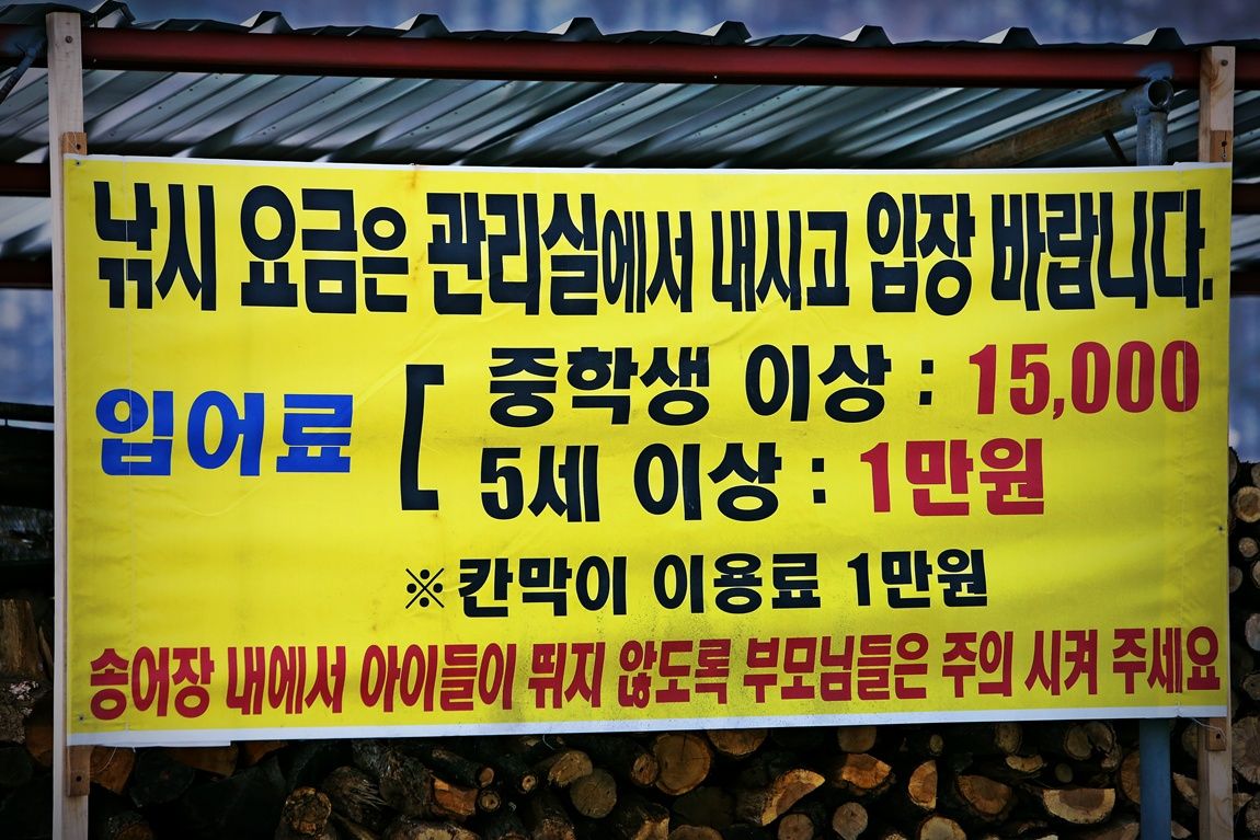 3A6A9253.JPG
