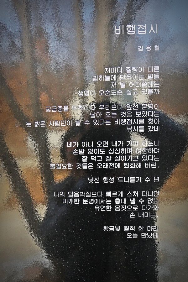 3A6A0405.JPG