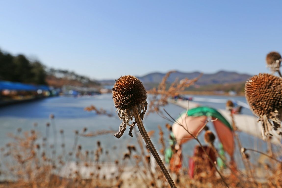 3A6A0360.JPG