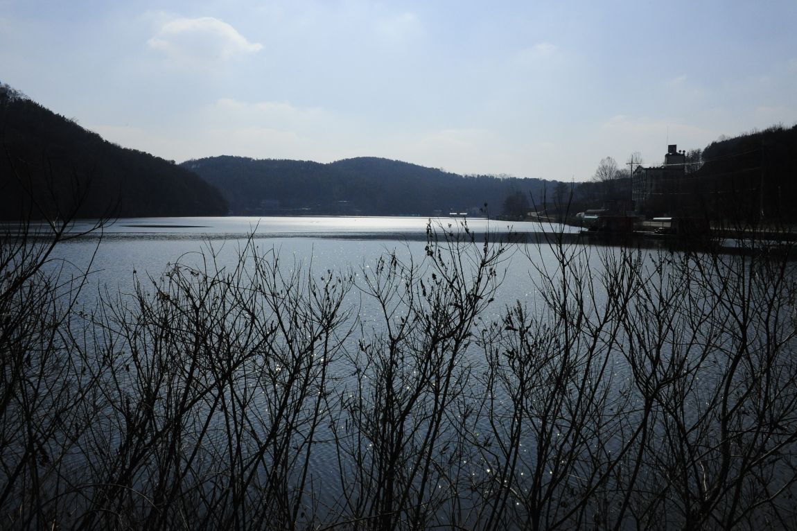 ���� 9822.jpg