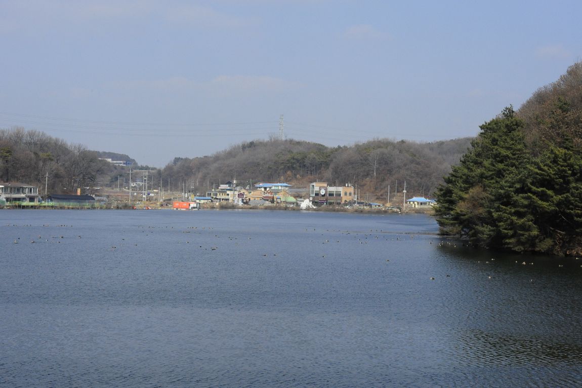 ���� 9817.jpg