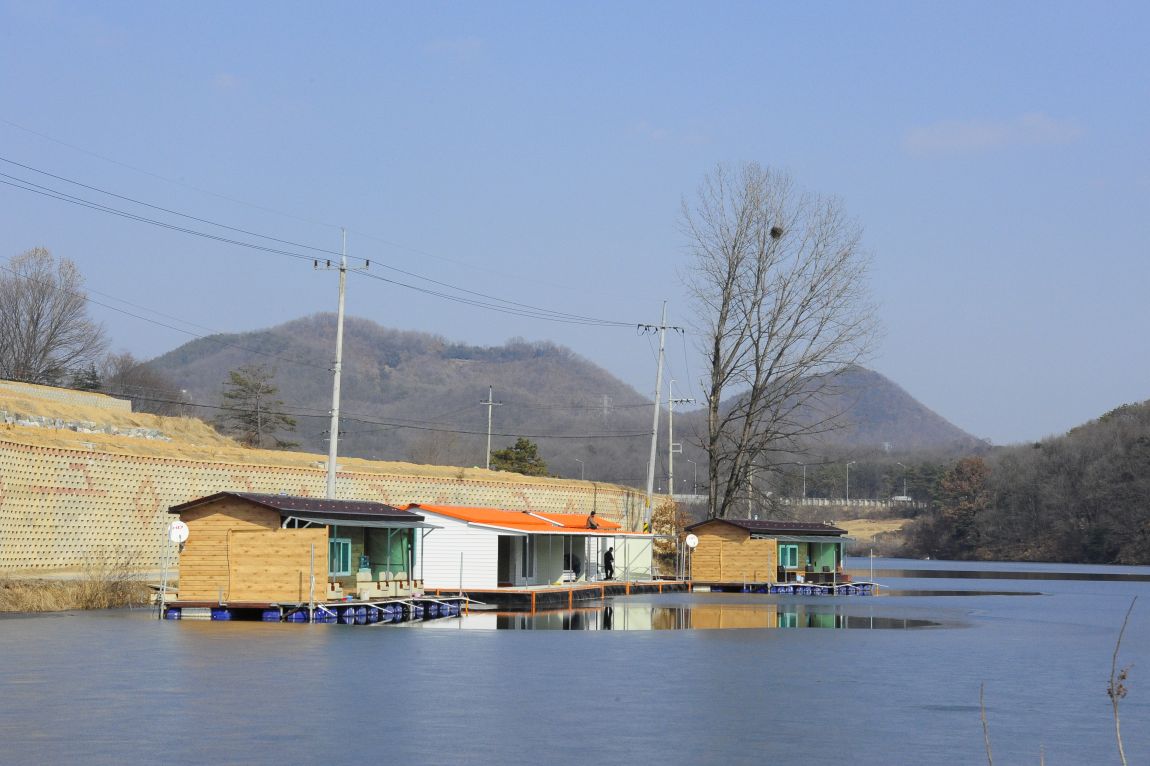 ���� 9831.jpg