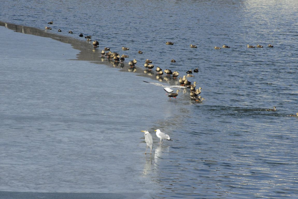 ���� 9840.jpg