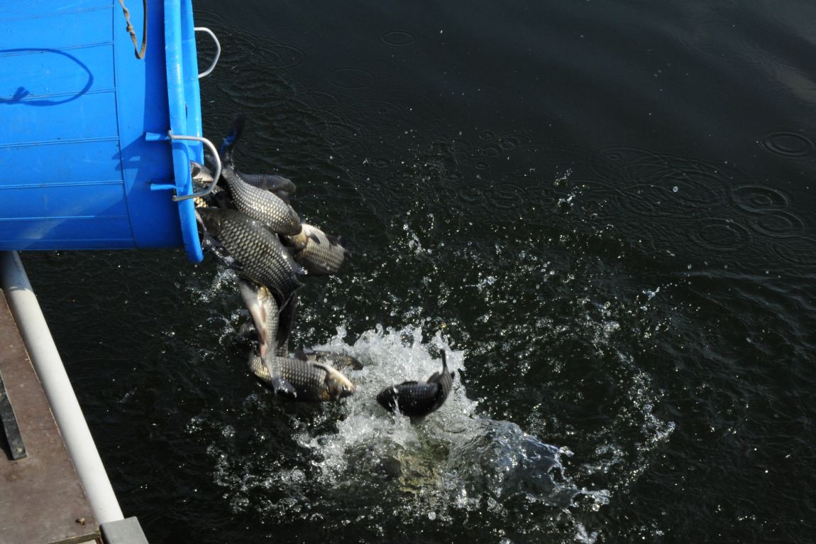 ���� 9861.jpg