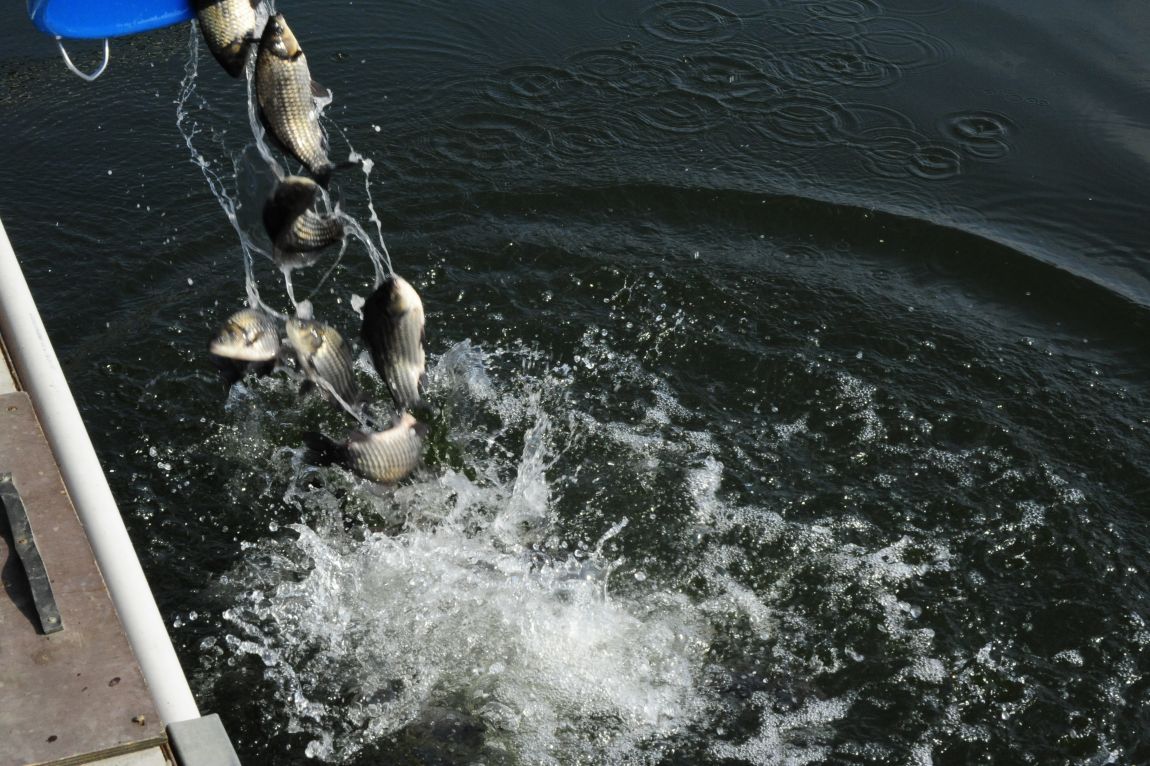 ���� 9862.jpg