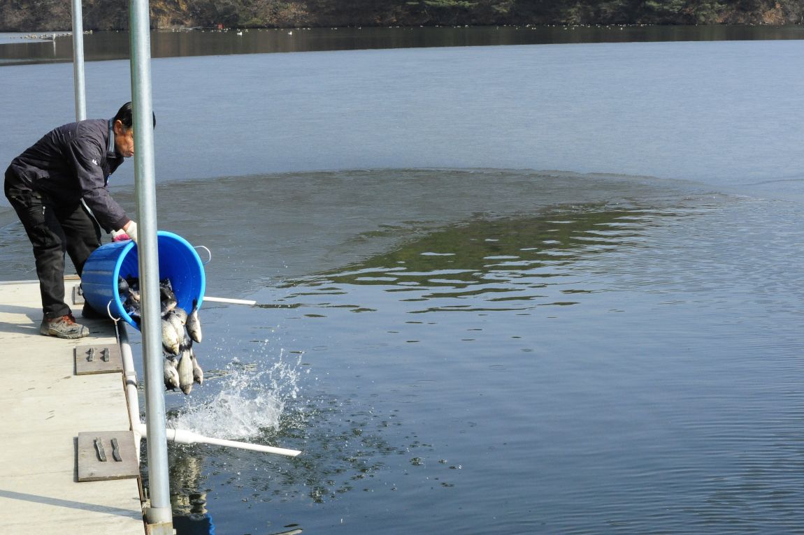 ���� 9866.jpg