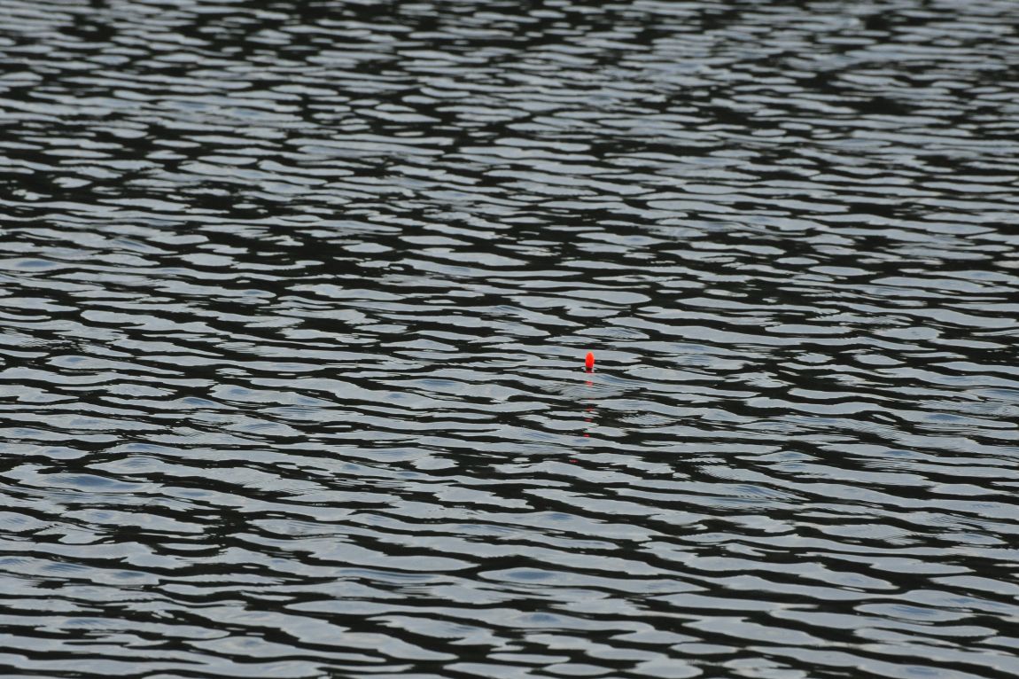 ���� 10024.jpg