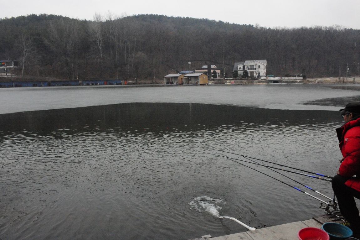 ���� 9928.jpg