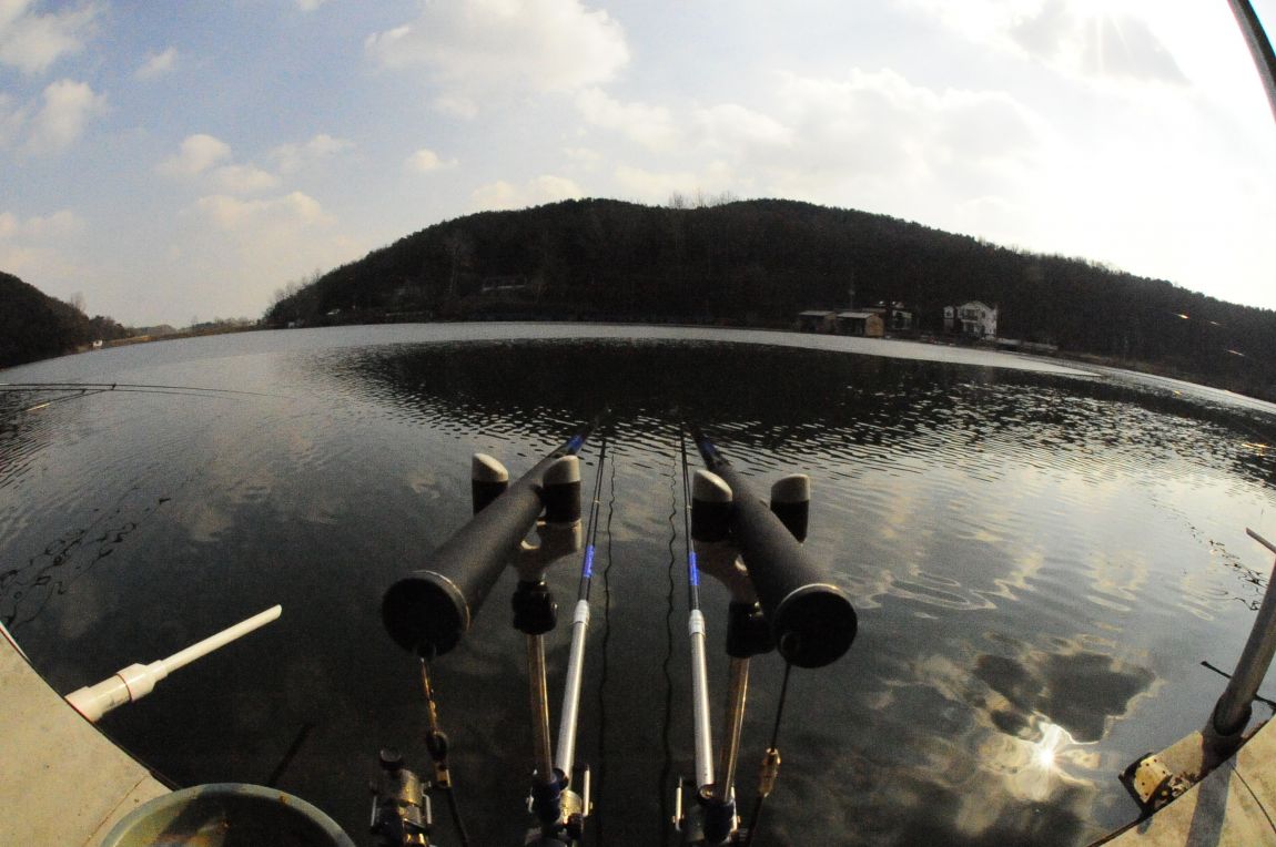 ���� 9982.jpg