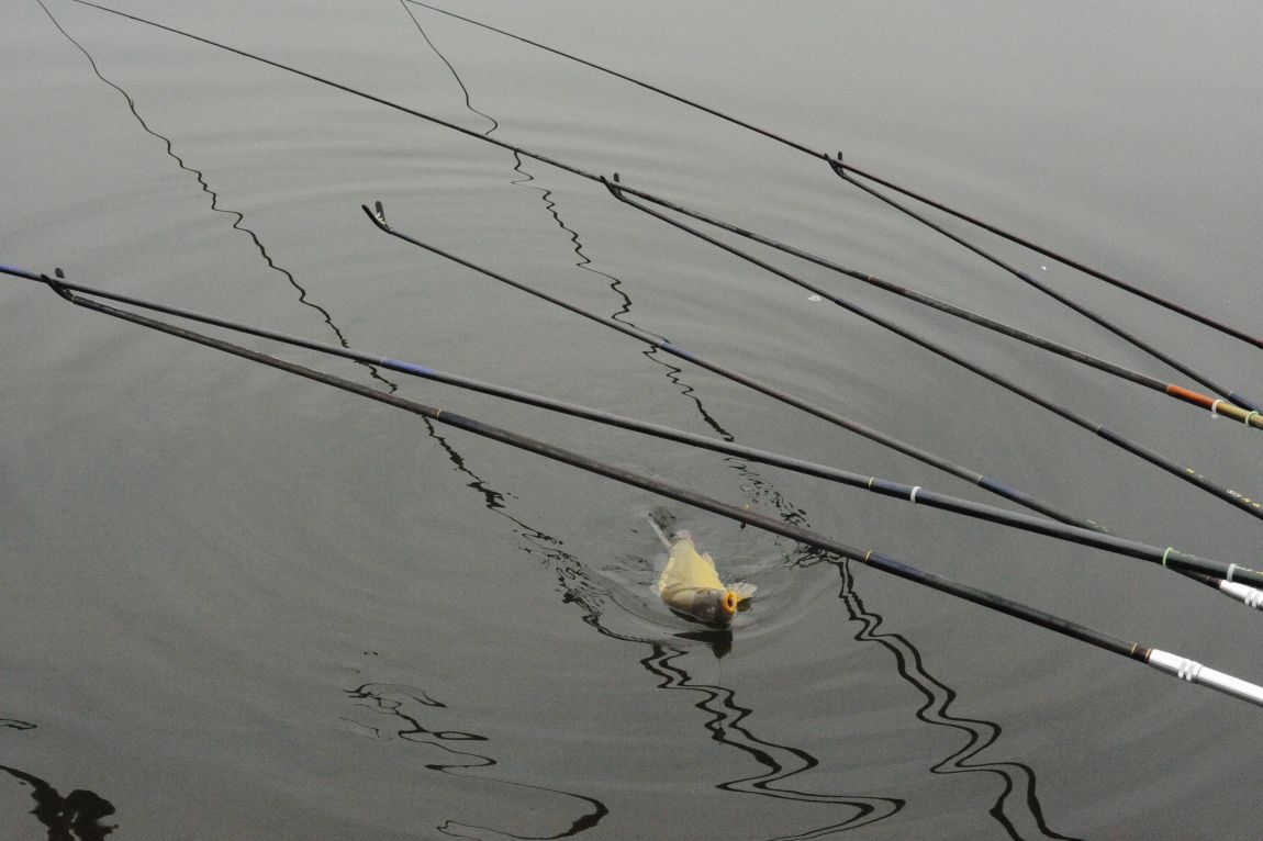 ���� 9931.jpg