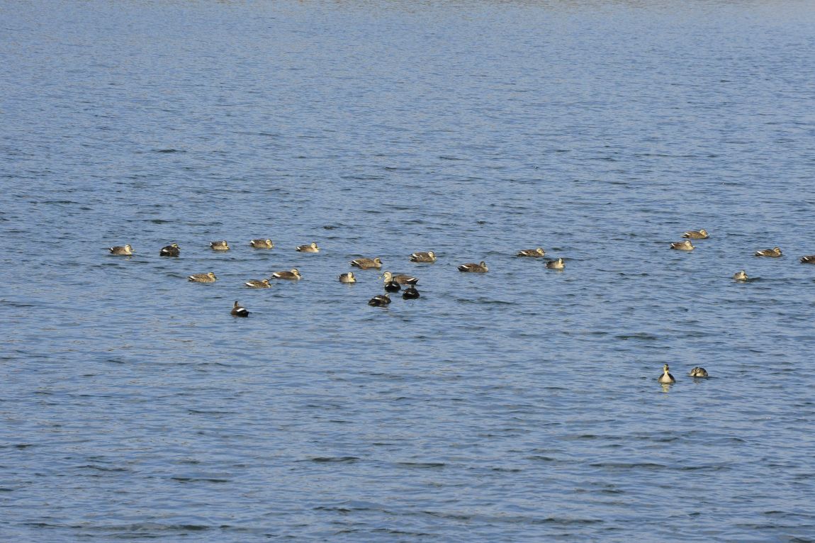 ���� 9844.jpg