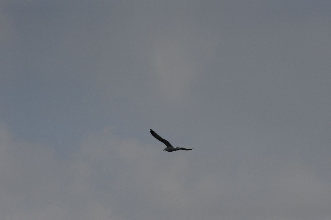 ���� 10022.jpg