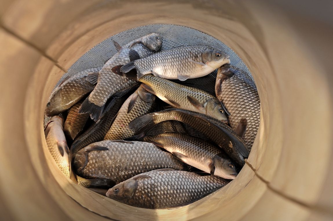 23.JPG