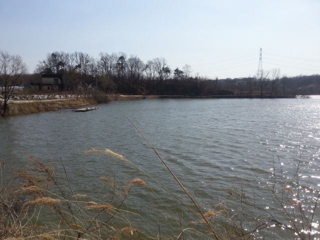 DSC_0086.JPG