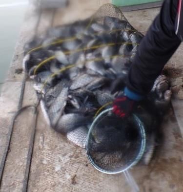 2015-03-27 10;20;14.JPG