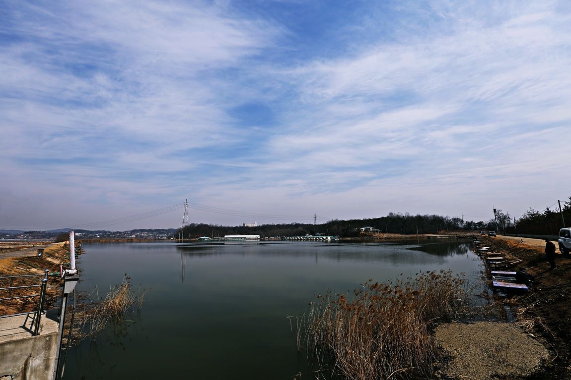 3A6A2515.JPG