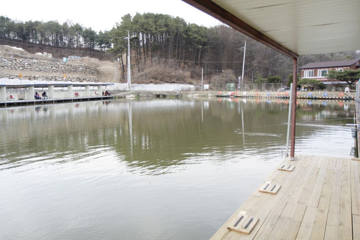 1-���� (65).JPG