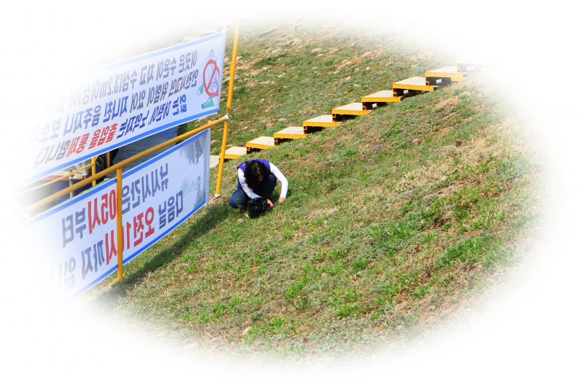 IMGL1766.JPG