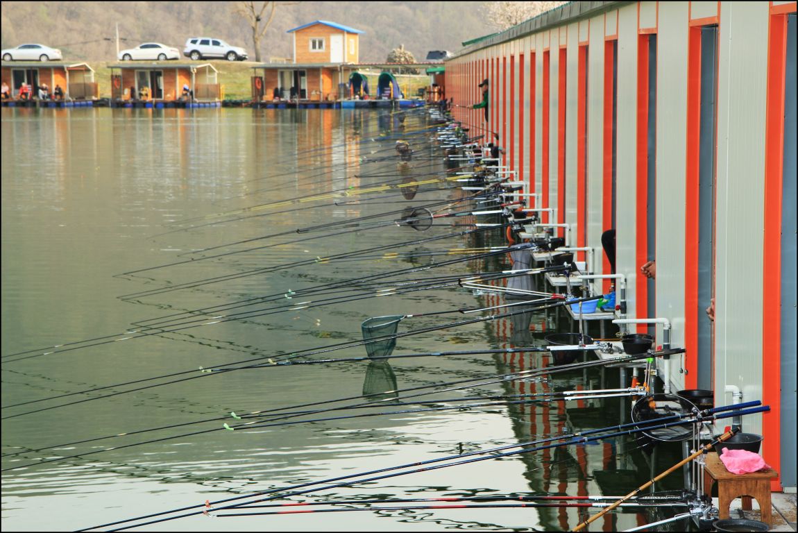 IMGL1830.JPG
