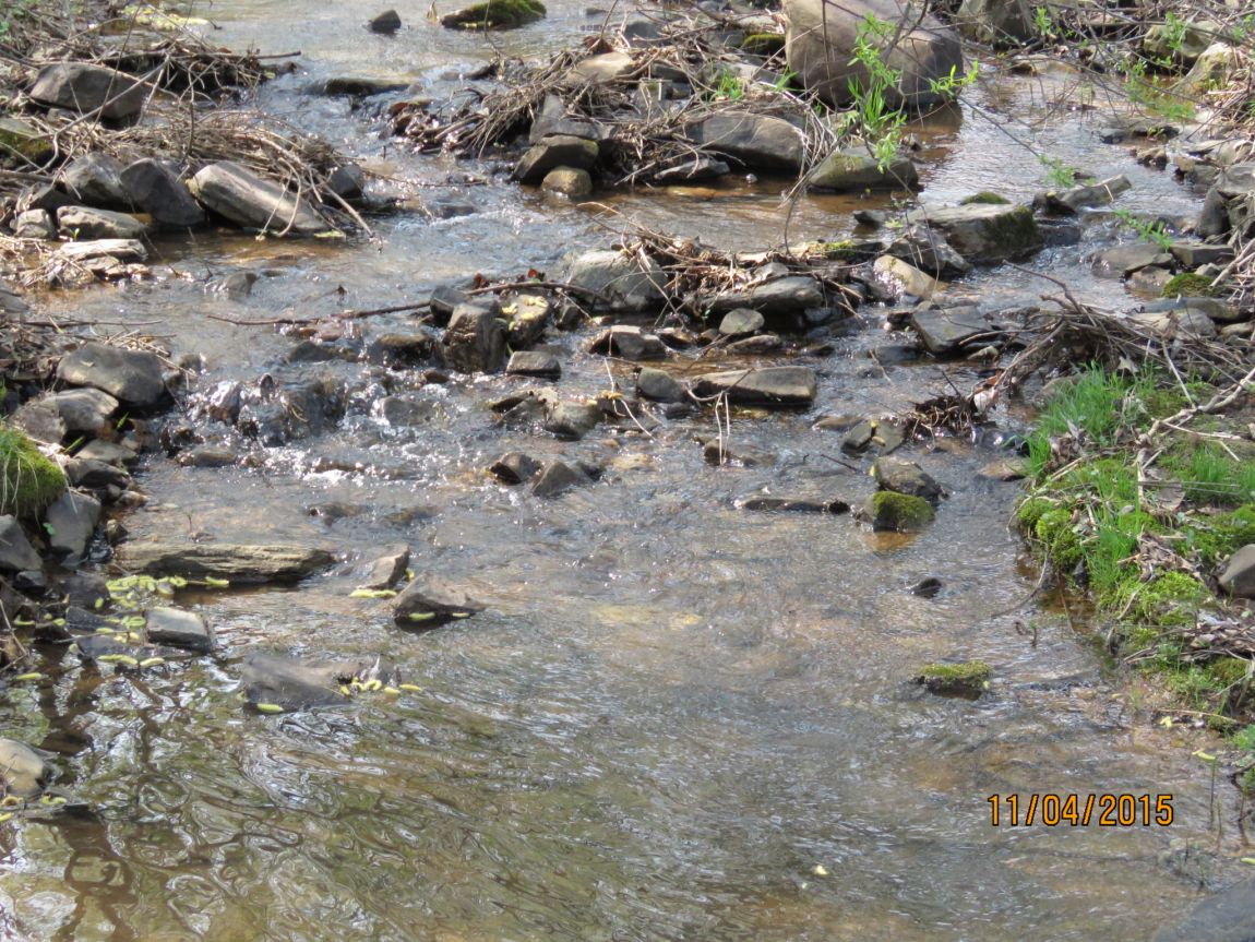 150411�������� (7).JPG